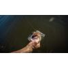 imageBerkley Powerbait Buzzn Speed ToadWatermelon Red FleckPearl Belly
