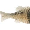 imageBerkley Powerbait Gilly Fishing Soft BaitBlue Shiner Gold