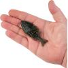 imageBerkley Powerbait Gilly Fishing Soft BaitGreen Pumpkin