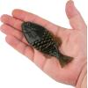 imageBerkley Powerbait Gilly Fishing Soft BaitGreen Pumpkin