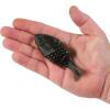imageBerkley Powerbait Gilly Fishing Soft BaitGreen Pumpkin