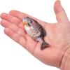 imageBerkley Powerbait Gilly Fishing Soft BaitHD Bluegill