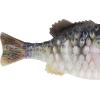 imageBerkley Powerbait Gilly Fishing Soft BaitHD Crappie