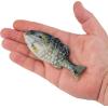 imageBerkley Powerbait Gilly Fishing Soft BaitHD Crappie