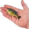 imageBerkley Powerbait Gilly Fishing Soft BaitHD Pumpkinseed