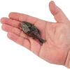 imageBerkley Powerbait Gilly Fishing Soft BaitHD Warmouth
