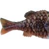 imageBerkley Powerbait Gilly Fishing Soft BaitHD Warmouth