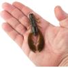 imageBerkley Powerdecoy Crazy Legs Craw Soft Fishing decoy