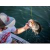imageBerkley The Champ CrawHD Rusty Craw
