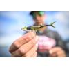 imageBerkley The Champ SwimmerHD Rainbow Shiner
