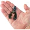 imageBerkleySoft BaitOkeechobee Craw