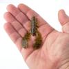 imageBerkleySoft BaitSummer Craw