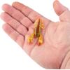 imageBerkleyfishing Soft BaitHD Spring Craw