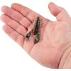 imageBerkleyfishing Soft BaitWatermelon Candy