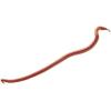 imageEarthworm Gulp by BerkleyRed Wiggler