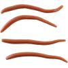 imageGulp Alive Angle WormNatural