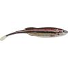 HD Blacknose Shiner