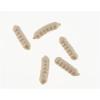 imageBerkley PowerBait Power Wigglers Fishing Soft BaitWhite