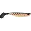 Rainbow Trout
