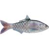 HD Blueback Herring