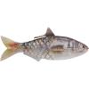 HD Gizzard Shad