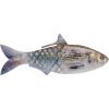 HD Hickory Shad