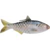 HD Threadfin Shad