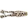 HD Snow Leopard