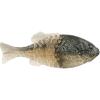 imageBerkley Powerbait Gilly Fishing Soft BaitBlue Shiner Gold