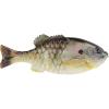 HD Sunfish