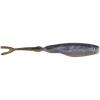 Black Shad
