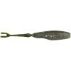 Emerald Shiner