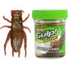 imageGulp Alive Cricket Fishing BaitMulti