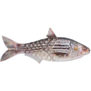 imageBerkley PowerBait Saltwater Gillydine Fishing Soft BaitHD Mullet