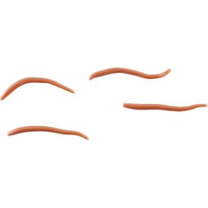 imageGulp Alive Angle WormNatural