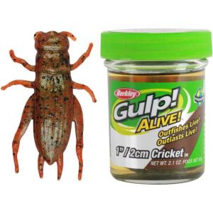 imageGulp Alive Cricket Fishing BaitMulti