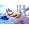 imageBerkley Frittside Fishing Hard BaitCrankbait Haul of Fame Kit