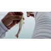 imageBerkley Gulp Shrimp Saltwater Fishing Soft BaitSugar and Spice Glow