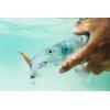 imageBerkley Gulp Shrimp Saltwater Fishing Soft BaitSurf Buster Variety Kit