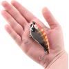 imageBerkley Jack Fishing Hard BaitChrome Red Perch