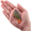 imageBerkley Jack Fishing Hard BaitFiretail Green Craw