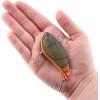 imageBerkley Jack Fishing Hard BaitFiretail Green Craw