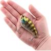 imageBerkley Jack Fishing Hard BaitGhost Chrome Gill