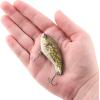 imageBerkley Jack Fishing Hard BaitHD Goby