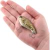 imageBerkley Jack Fishing Hard BaitHD Goby