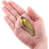 imageBerkley Jack Fishing Hard BaitMossy Ghost