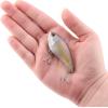 imageBerkley Jack Fishing Hard BaitStealth Shad
