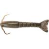 Natural Shrimp