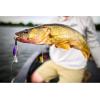 imageBerkley Crankbait Hard Fishing LuresClear