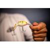 imageBerkley Crankbait Hard Fishing LuresClear